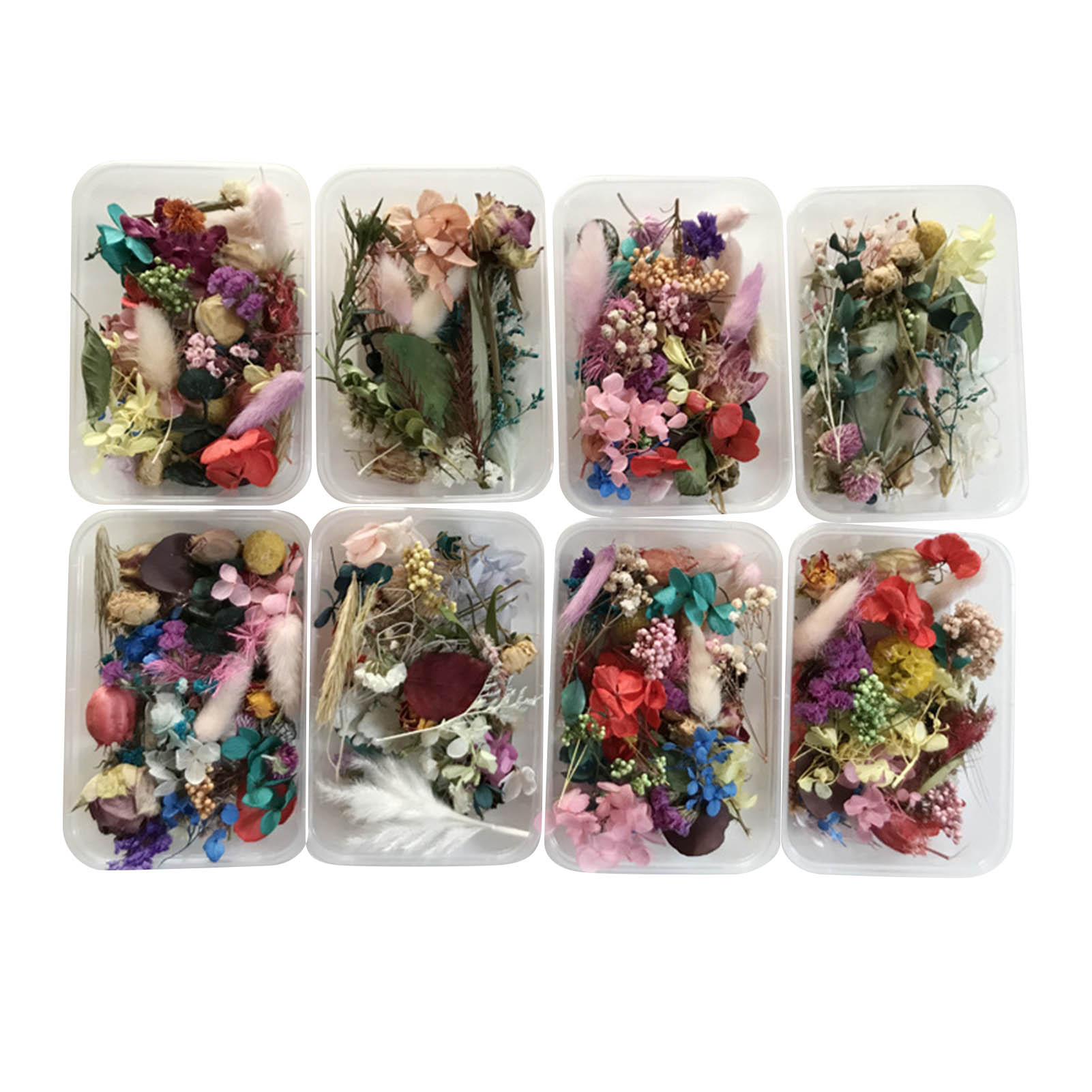 Dried Herbs - Kit de flores secas naturais, arte