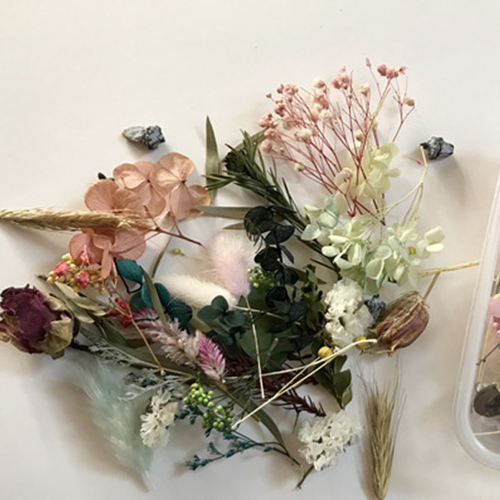 Kit de flores secas naturais,  - Dried Herbs avaliação e preço