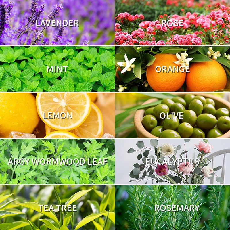 Óleo essencial de aromaterapia - Lavender Oil avaliação e preço