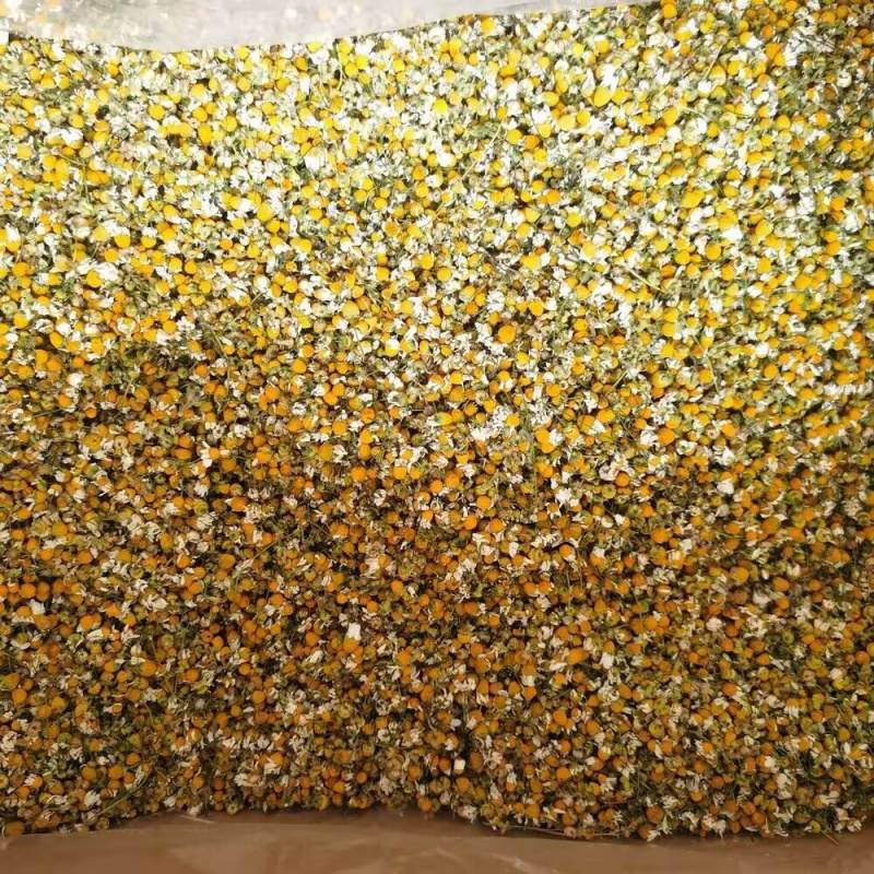 Flores Secas de Camomila Natur - Chamomile Tea avaliação e preço